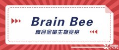神經(jīng)科學(xué)生必選的Brain Bee腦科學(xué)大賽詳解，5-12年級均可參加