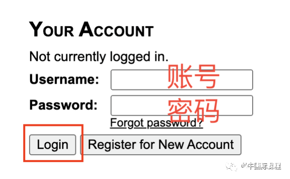 USACO考試怎么報名？競賽報名流程圖解！