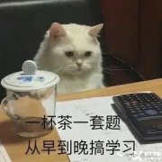 2023年澳洲AMC競(jìng)賽怎么報(bào)名？澳洲AMC競(jìng)賽歷年真題下載！
