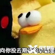FBLA商科競賽開始報名！FBLA競賽精品小班課報名中！