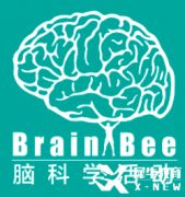 Brain bee腦科學(xué)競(jìng)賽考試規(guī)則全解，附Brainbee競(jìng)賽輔導(dǎo)班！