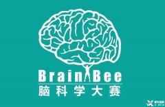 Brainbee腦科學(xué)競賽含金量高嗎？犀牛Brainbee競賽沖刺基礎(chǔ)班報(bào)名中~
