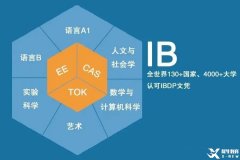 太全了！一文詳解IB課程體系！附9-12年級IB升學時間軸