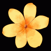 A-Level數(shù)學(xué)怎么考能拿到A*，備考難點(diǎn)及學(xué)習(xí)規(guī)劃分析！