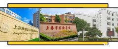 上海三公學校備考規(guī)劃：AMC8和小托福課程安排介紹！