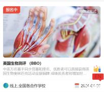 怎么備考BBO競賽，考試時間及備考規(guī)劃介紹！