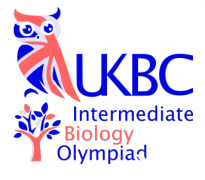 USABO、BBO競賽太難？iBO生物競賽了解一下！