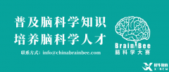2025BrainBee腦科學(xué)大賽開始報名！BrainBee報名考試時間/報名方式/考試大綱奉上！