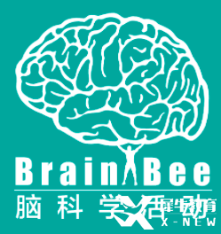 2025年Brain Bee全國(guó)賽即將開(kāi)考！點(diǎn)擊下載Brain Bee參考書及真題！