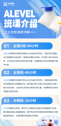犀牛Alevel課程培訓(xùn)，海內(nèi)外名師授課，直沖大考A*！