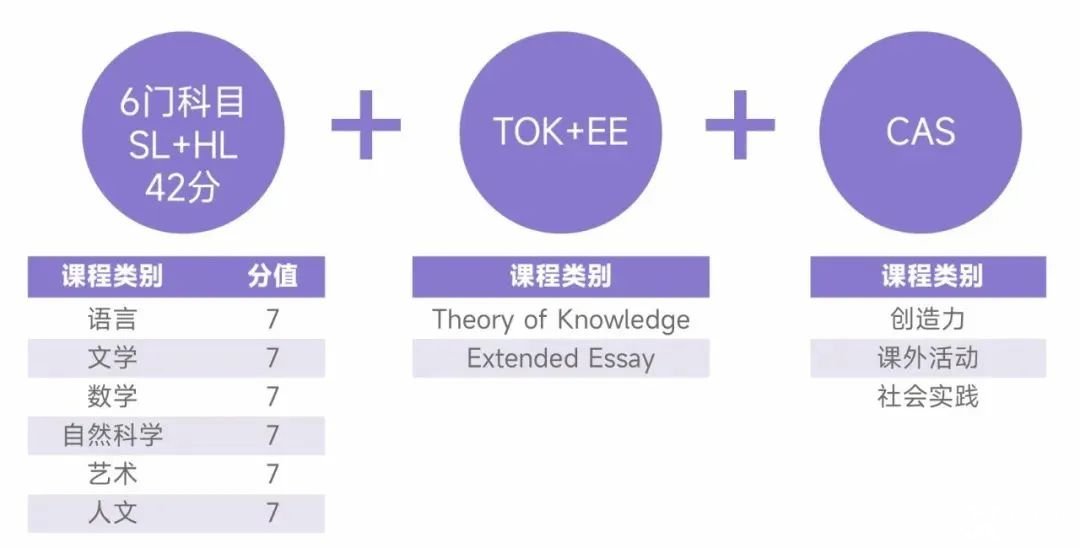 國際學(xué)校春秋招必看！含金量高，難度超模，IB課程該不該選？