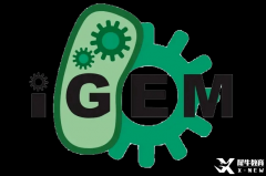 ?IGEM比賽含金量高嗎？2025全國賽晉級流程請收藏！