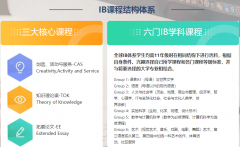 IBDP選課如何選？國際課程專業(yè)老師1V1建議指導(dǎo)！