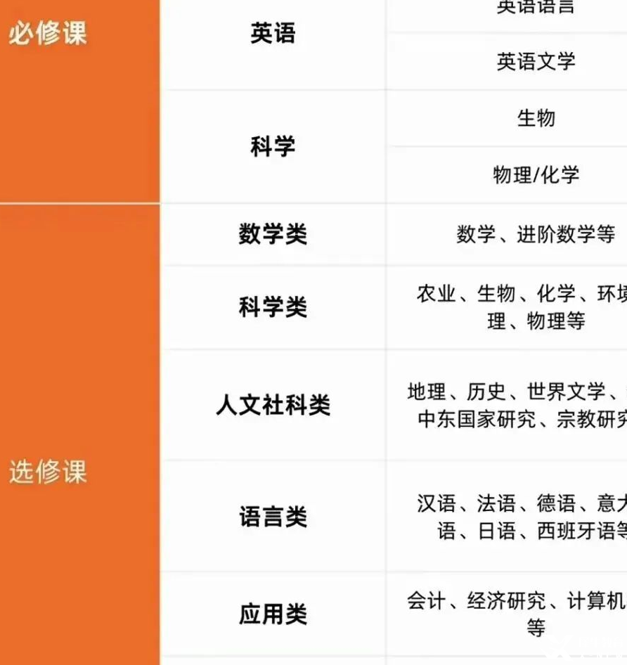 IGCSE選課攻略：IGCSE階段該如何進行選課？國際學校小白快收藏