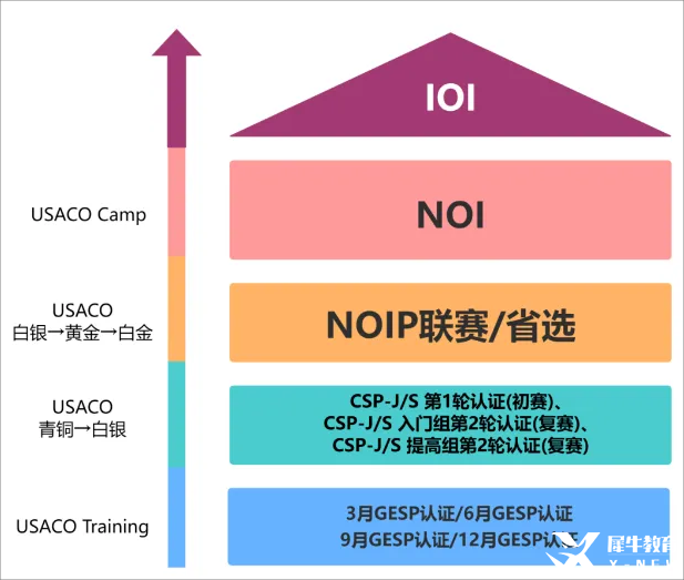 【一文講清USACO競(jìng)賽】國(guó)際生必看的計(jì)算機(jī)奧賽USACO深度解析！機(jī)構(gòu)USACO暑期集訓(xùn)營(yíng)助你沖刺名校!
