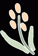 零基礎(chǔ)可以參加AMC8競(jìng)賽嗎?AMC8競(jìng)賽培訓(xùn)班介紹！