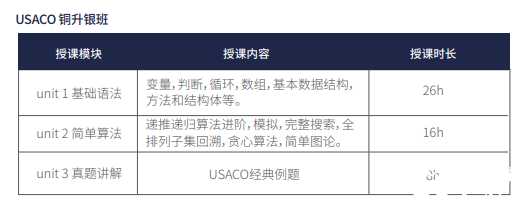 USACO競賽從青銅到鉑金如何備考？USACO競賽培訓組班啦！
