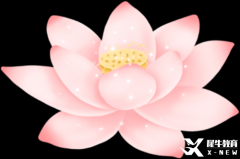 暑假IGCSE課程開課，全國(guó)30+校區(qū)