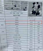 袋鼠數(shù)學(xué)競(jìng)賽一文講清楚！袋鼠數(shù)學(xué)競(jìng)賽適合幾年級(jí)？