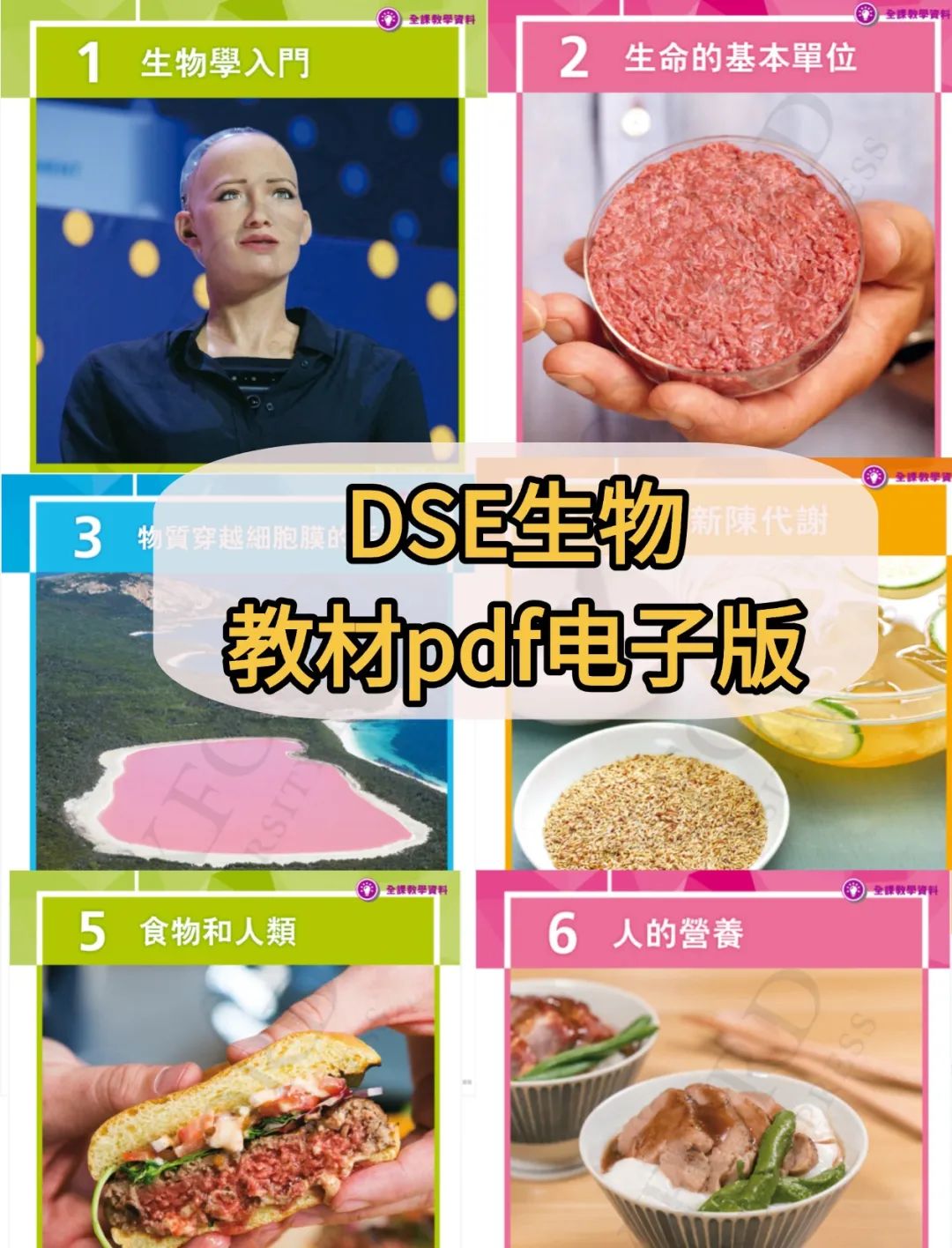稿定設(shè)計(jì)-1.jpg
