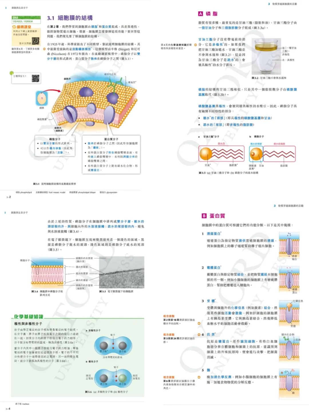 稿定設(shè)計(jì)-4.jpg