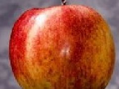 高含金量經(jīng)濟(jì)類競賽SIC如何獲獎？