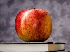 澳洲AMC和美國(guó)AMC的區(qū)別？免費(fèi)數(shù)學(xué)競(jìng)賽規(guī)劃！
